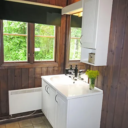 Hustjonn By Interhome Aamli